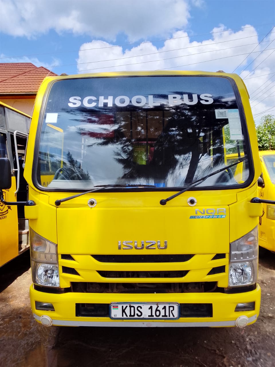 School Bus Fleet 2