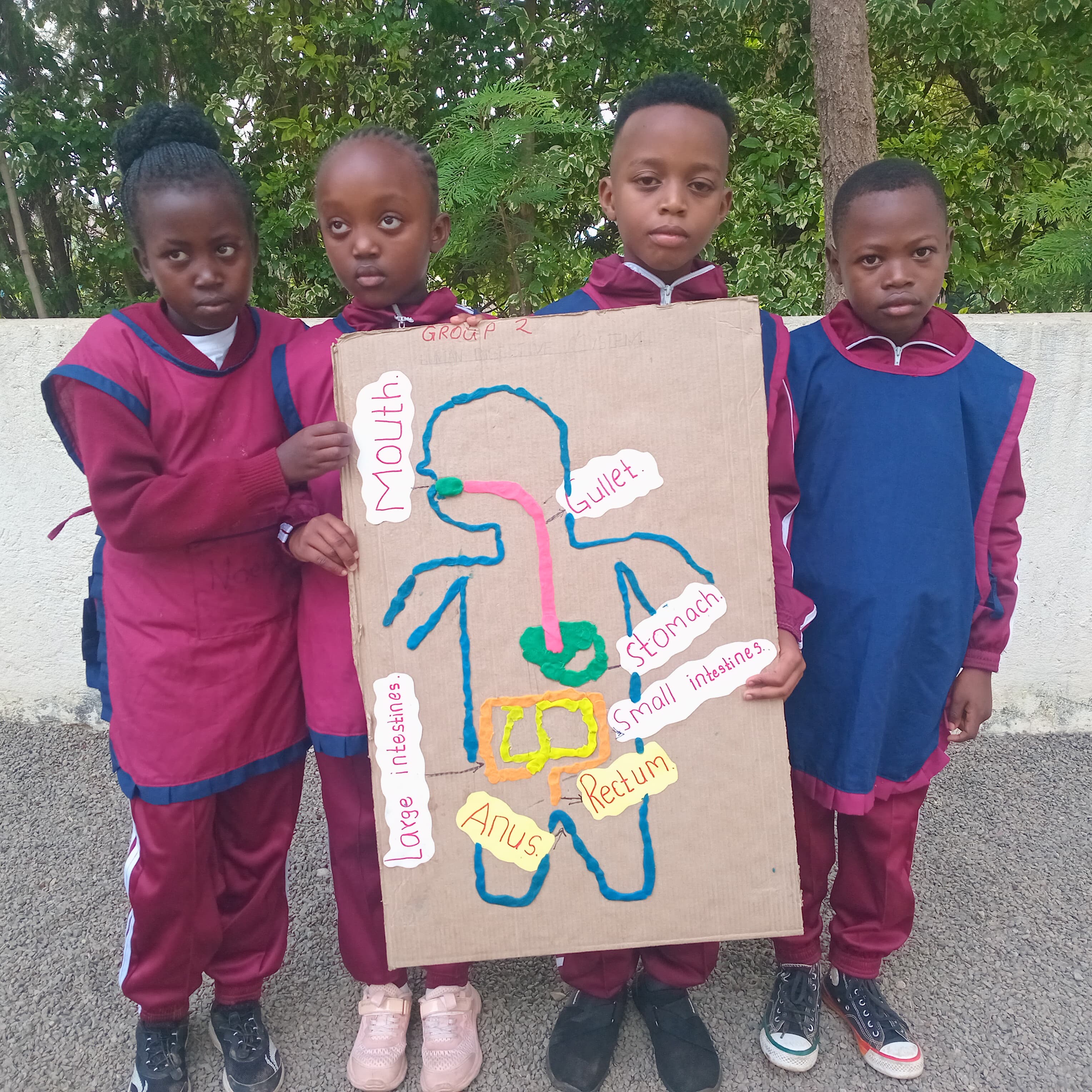 Innovation and Creation